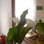 Bed & Breakfast A Casa Romar Torino